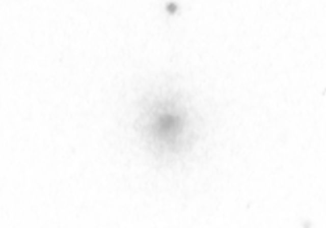 IC 0783.jpg